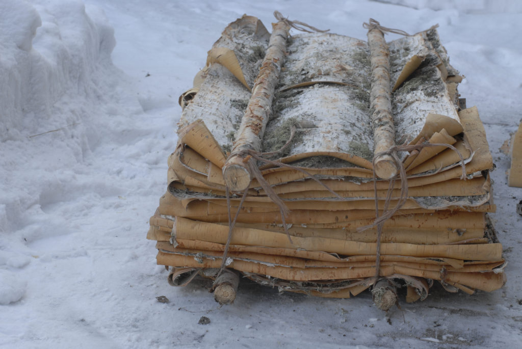 Sustainable Harvest in Siberian Forests - MOYA Birch Bark